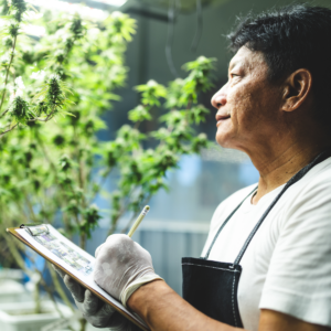 Hemp Testing