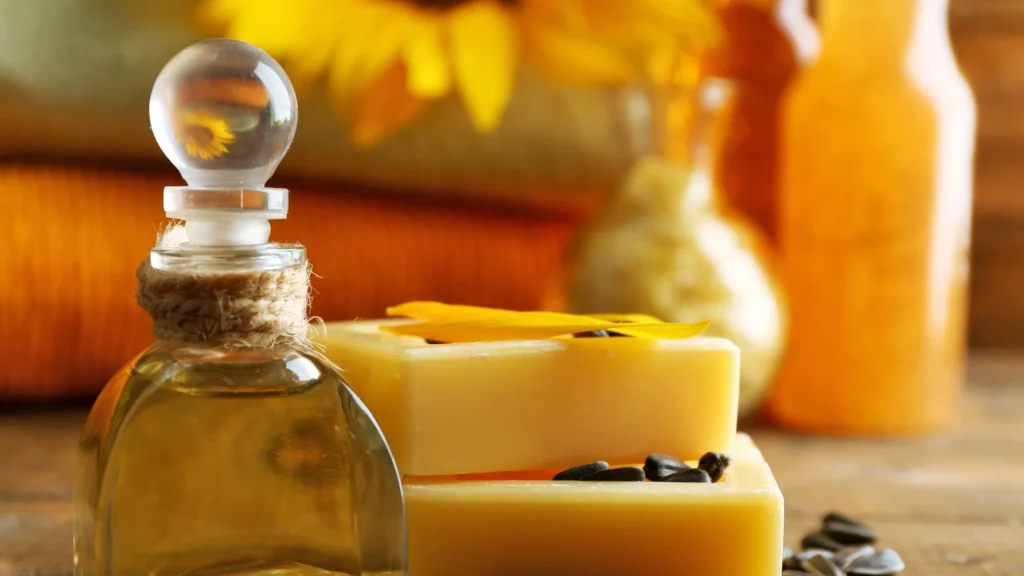 CBD Gummies vs CBD Oil: Which One Should You Choose?