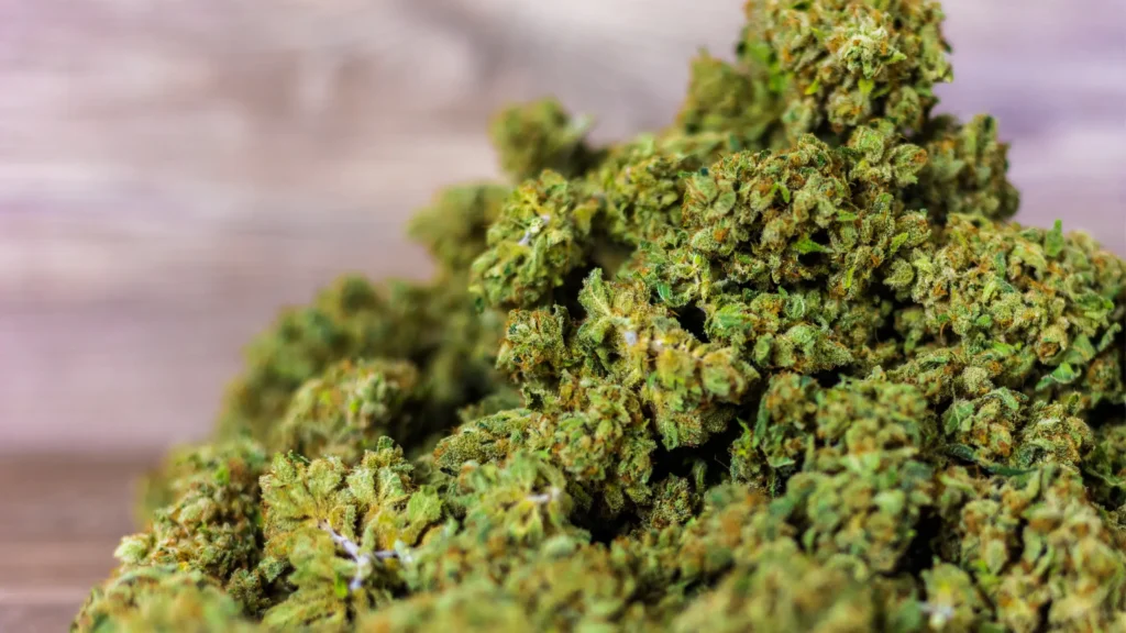 Ways to Identify Marijuana Leaves