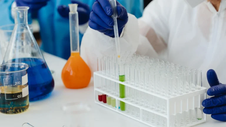 How to Read a CBD Lab Report A Complete Guide to Understanding CBD Certificates
